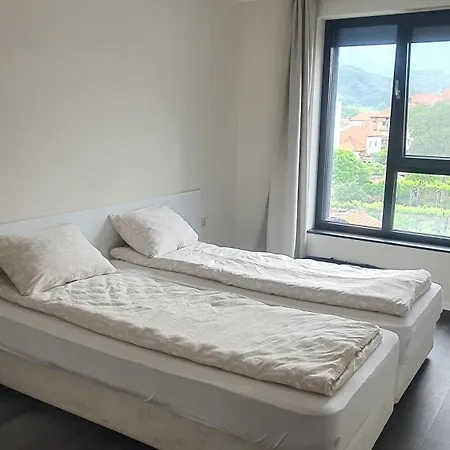 Panorama View דירה *